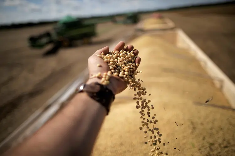 Boa Safra é líder na produção de sementes de soja no Brasil (Ueslei Marcelino/Reuters)