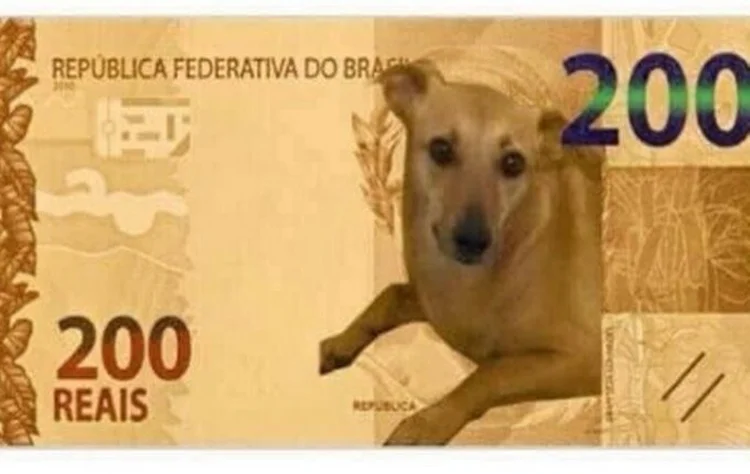 Montagem de possível nota de R$ 200 com cachorro: BC não pretende substituir o lobo-guará (Twitter/Reprodução)