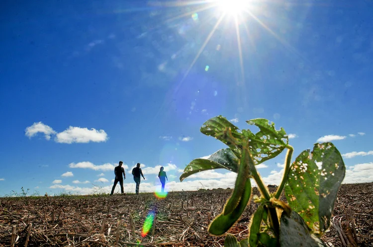 No Centro-Oeste, excesso de calor e falta de chuva atrasam plantio e produtores cogitam entrar com a semeadura apenas em dezembro (Tony Winston/Agência Brasília/Fotos Públicas)