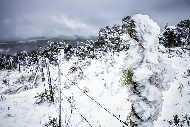 Neve no Brasil: Serras de Santa Catarina e do Rio Grande do Sul têm mais chances de registrar o fenômeno. (Ricardo Ribas/SOPA Images/LightRocket/Getty Images)