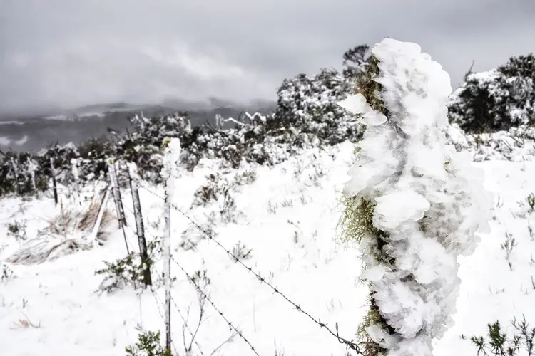 No Morro das Antenas, em Urupema, as plantas amanheceram congeladas, segundo a Defesa Civil de Santa Catarina (Ricardo Ribas/SOPA Images/LightRocket/Getty Images)