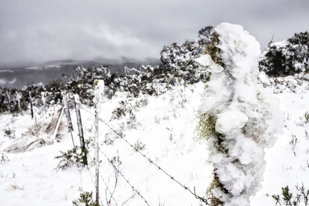 Neve em Santa Catarina? Estado registra temperaturas abaixo de zero após ciclone