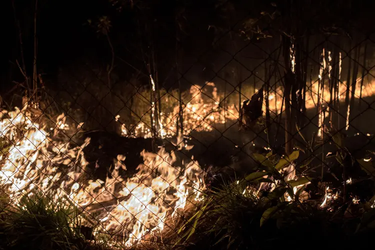 Amazônia: queimadas aumentaram 28% em julho. É o pior resultado desde 2017 (Bloomberg/Getty Images)