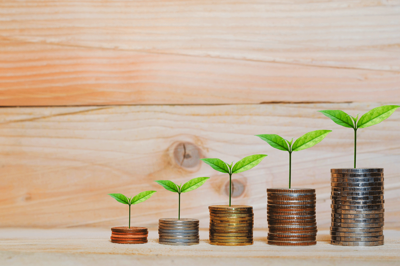 Investindo com princípios: o que é o ESG no mundo dos investimentos