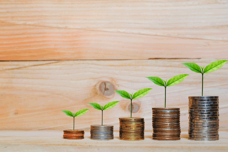 Os fundos ESG cresceram 26% entre julho de 2019 e julho deste ano, segundo a Exame Research (Thithawat_s/Getty Images)