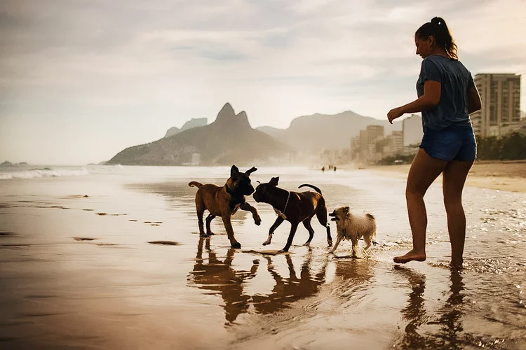 A promessa de criar um órgão para cuidar de animais domésticos foi feita por Bolsonaro logo após se eleger presidente em outubro de 2018 (Bruna Prado/Getty Images)