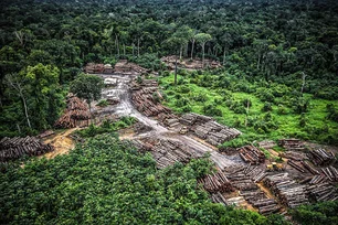 Imagem referente à matéria: Servidores do Ibama aceitam proposta de reajuste salarial do governo e encerram greve da categoria