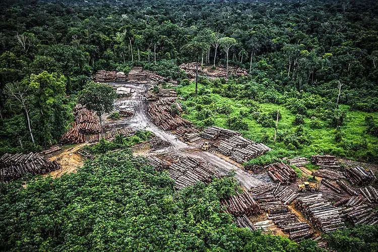 Desmatamento: Ministério do Meio Ambiente anunciou que vai suspender as ações de combate ao desmatamento e queimadas a partir de segunda (Ibama/Divulgação)