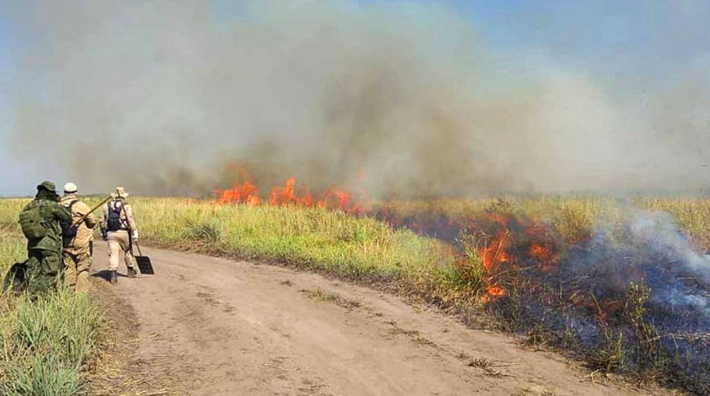 Falta de recursos paralisa ações de proteção ambiental