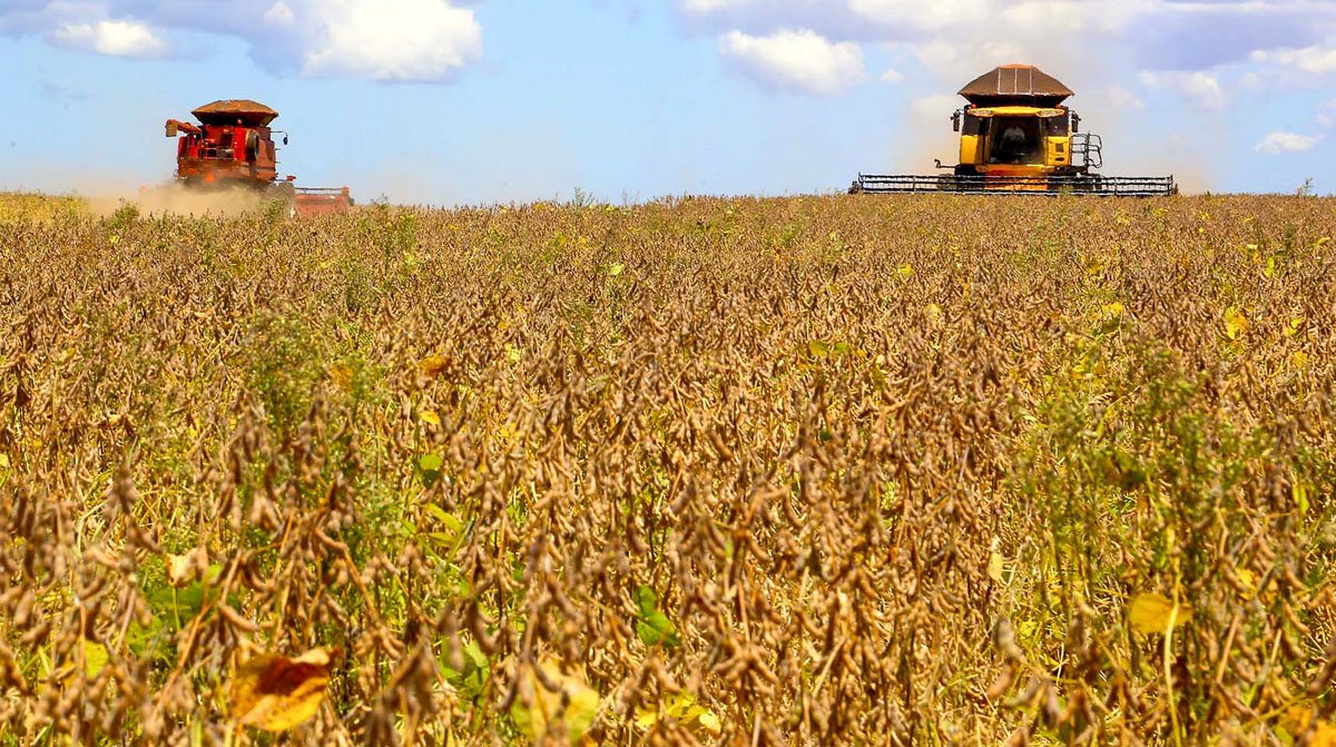 Em meio à safra recorde, Bunge quer eliminar desmatamento no Cerrado