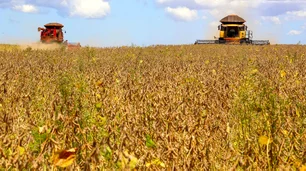 Imagem referente à matéria: Conab: Brasil deve colher 297,54 milhões de toneladas de grãos na safra 2023/24
