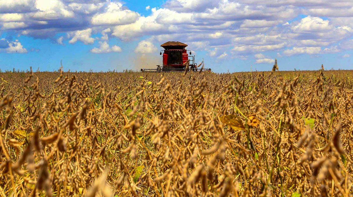 BNDES anuncia mais R$ 6 bi para linhas de crédito voltadas à agropecuária