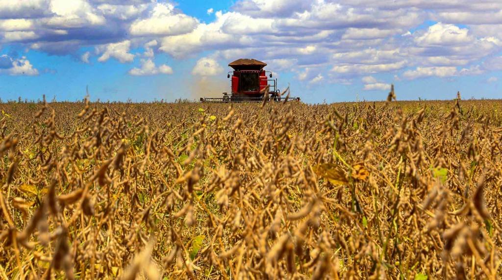 Agricultura: safra de 2022 alcançará recorde de 261,7 milhões de toneladas, diz IBGE (Jaelson Lucas/AEN/Divulgação)
