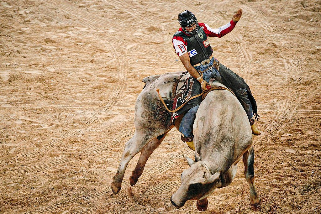 Festa do Peão de Barretos: começa hoje o maior rodeio da América