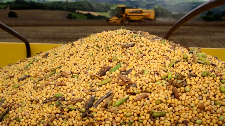  Ministros destacam estímulos à produção de alimentos e transição ecológica (Jonas Oliveira/AEN/Divulgação)