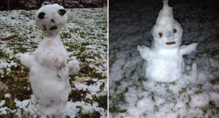 Bonecos de neve após frente fria no Sul (Twitter/Reprodução)