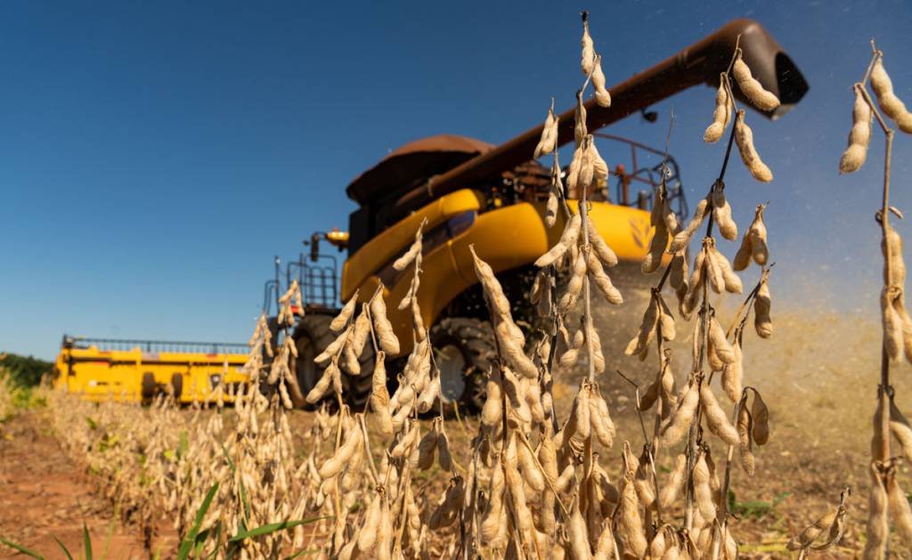 Cultivo de grãos no Mato Grosso: campeão em produtividade, Brasil tem desafio de comunicar conquistas em sustentabilidade (Alexis Prappas/Exame)