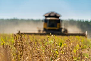 Imagem referente à matéria: Com efeito Agrogalaxy, mercado vê menor espaço para emissão de CRAs