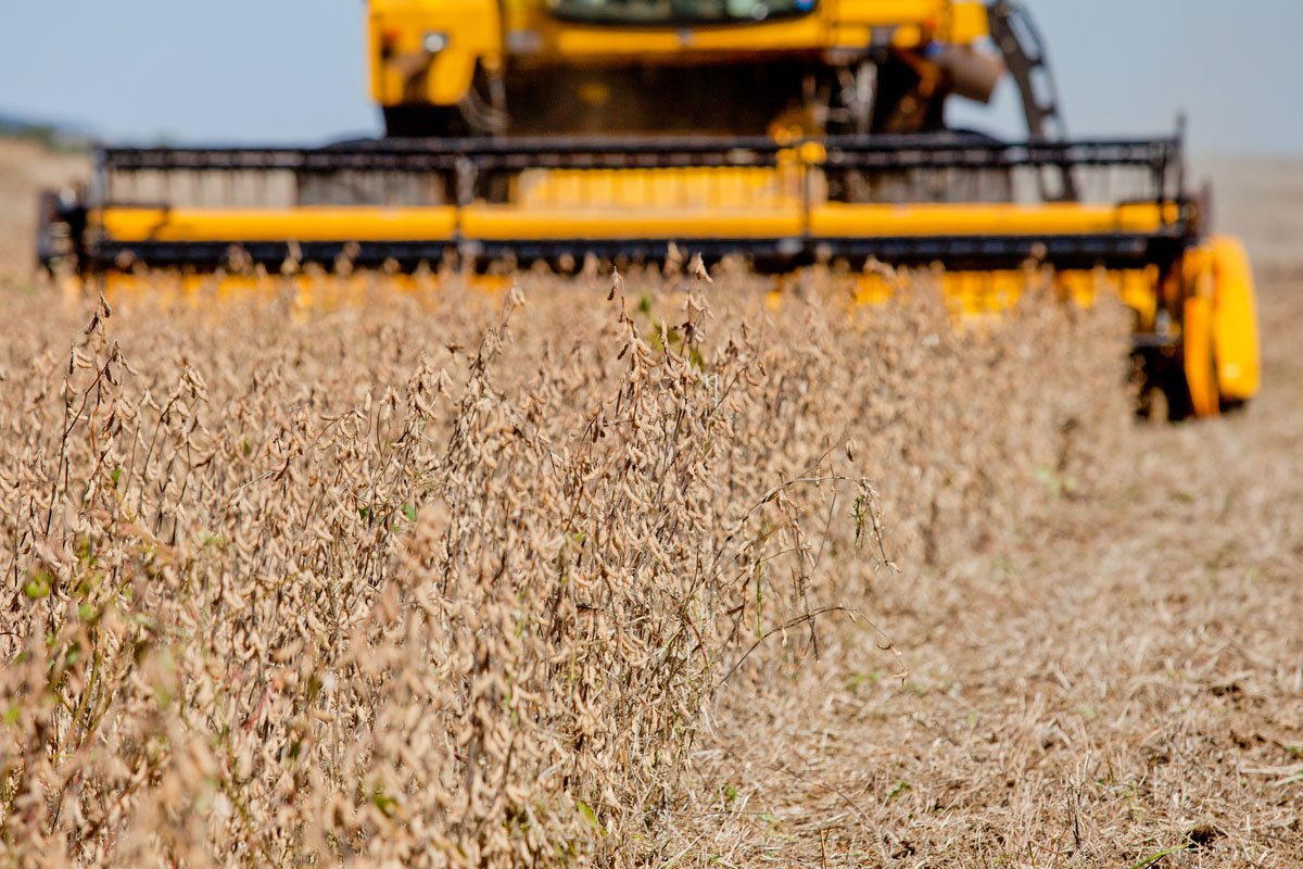 Fim da isenção de IR sobre as LCAs: os efeitos colaterais para o agro, segundo analistas