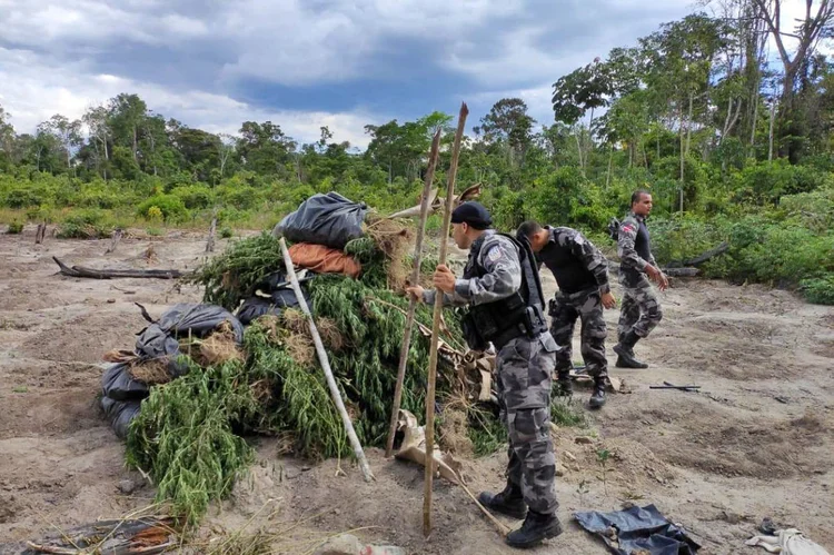 Apreensão de maconha, em 2020: droga, colocada em caixas de papelão, ocupava todo o espaço que sobrava na aeronave (Ascom/PMPA/Divulgação)