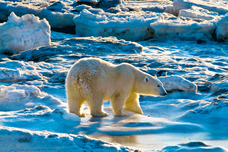 Importância: oceanos contribuem para que a superfície da Terra seja habitável ao absorver 90% do excesso de calor causado por emissões (Dennis Fast/Getty Images)