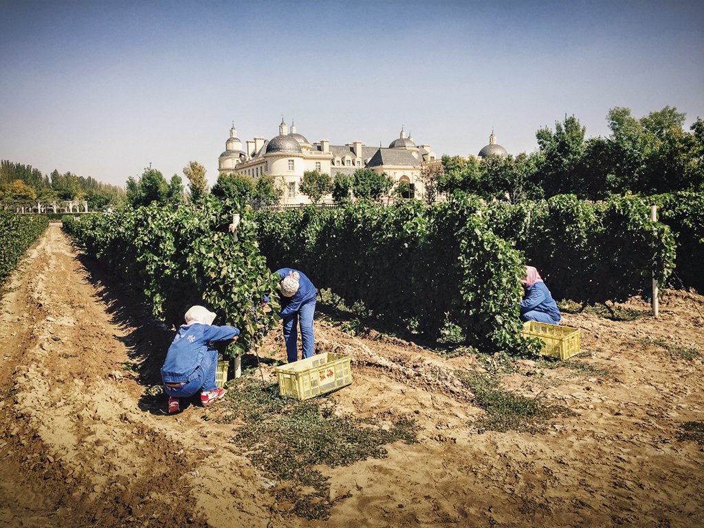 Parece um Bordeaux, mas é um vinho feito na China