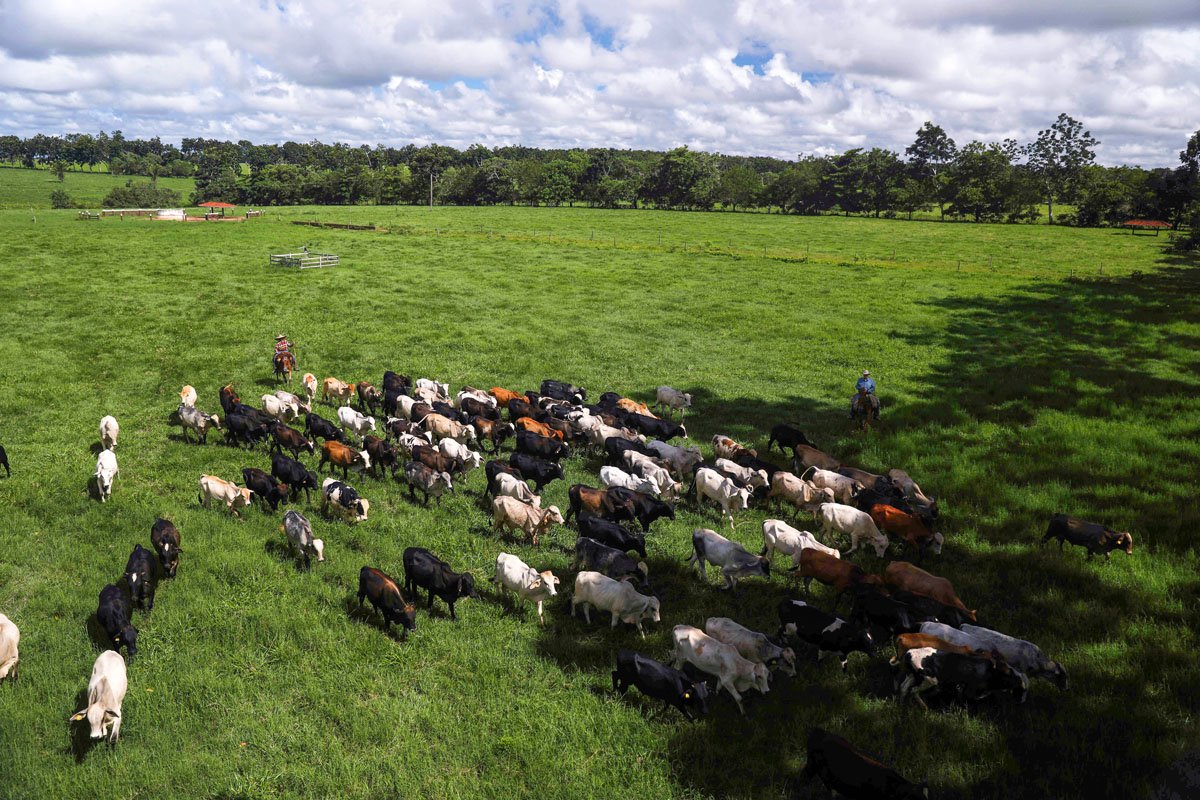 Brasil emite primeiros créditos de carbono por agricultura regenerativa nas Américas