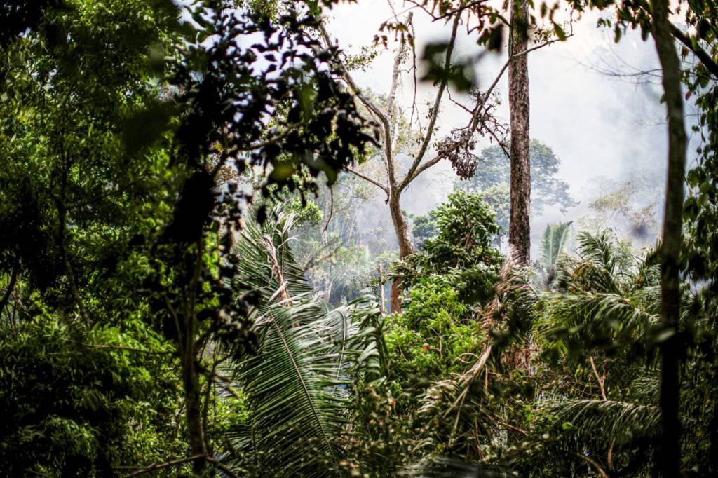 Desmatamento na Amazônia: o Deter identificou 287,76 km² de área desmatada no mês de abril de 2023 (Ueslei Marcelino/Reuters)
