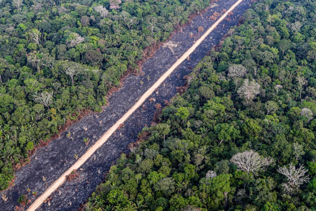 Desmatamento: equipe de Mourão discute uma série de ações para a Amazônia (Ueslei Marcelino/Reuters)