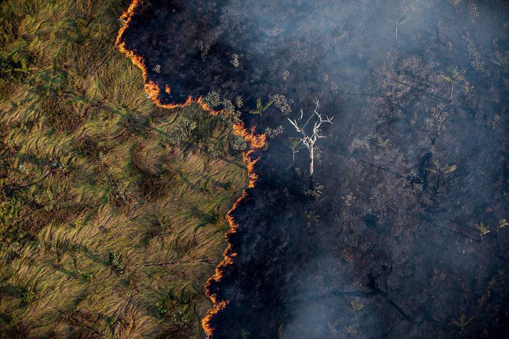 Desmatamento da Amazônia cai pelo 3º mês seguido, mas queimadas sobem