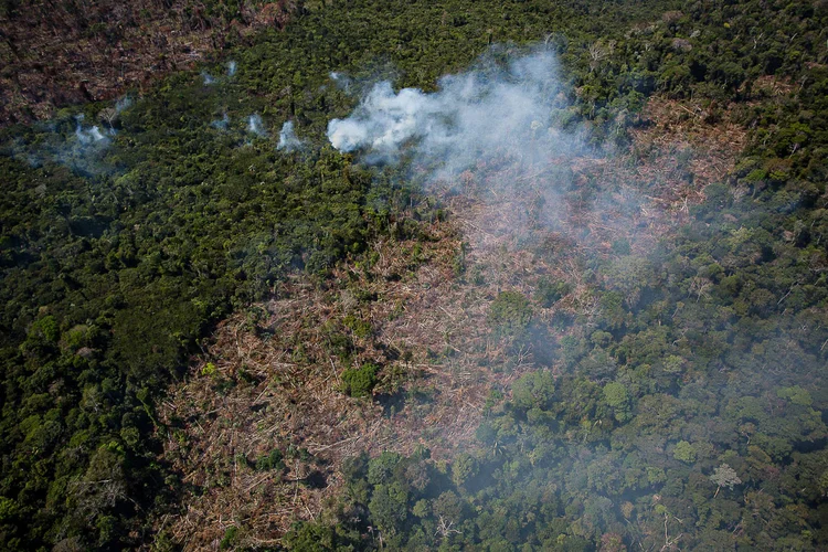 Amazônia: Ministério da Defesa usará verba da Lava Jato à Amazônia para compra de satélite de R$ 577 milhões (Bruno Kelly/Amazônia Real/Divulgação)