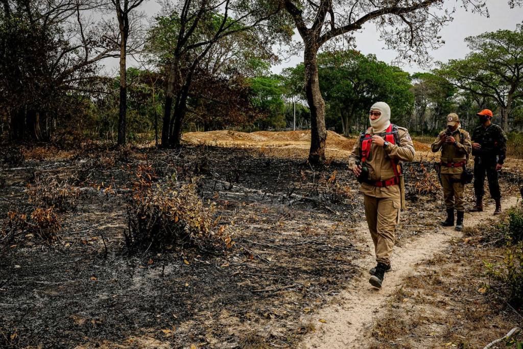 AGU vai à Justiça em busca de R$ 893 milhões de desmatadores da Amazônia