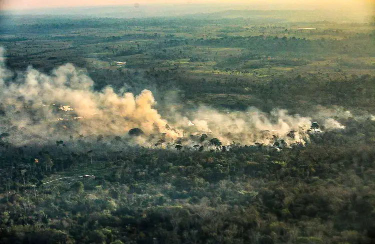 Banco Mundial: precificação do CO2 para atacar problemas como o desmatamento  (Sérgio Vale/Amazônia Real/Divulgação)
