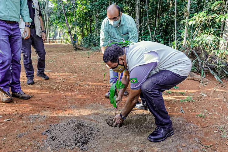 Vice-Presidente da República, Hamilton Mourão, durante Viagem a Carajás.
 (Romério Cunha/ VPR/Divulgação)