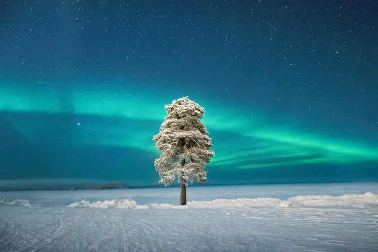 Tecnologias usadas para exploração espacial podem ajudar no diagnóstico, defendem especialistas (Tom Archer/2020 astronomy photographer of the year/Reprodução)