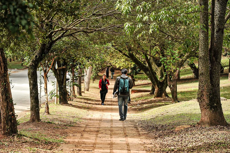  (Marcos Santos/USP Imagens)