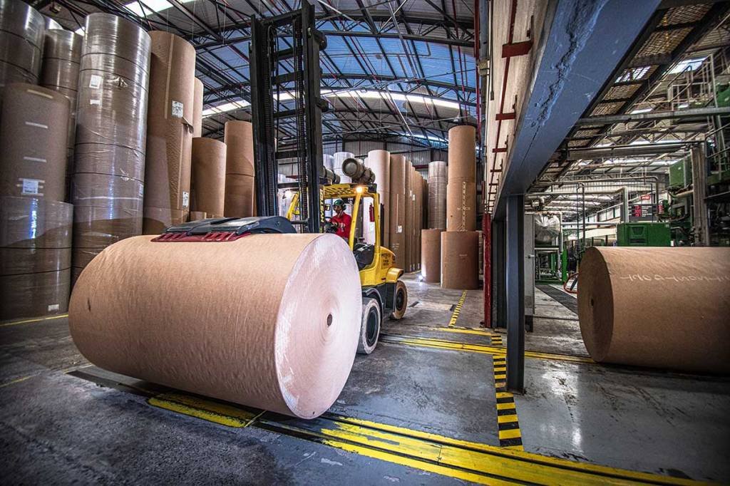 A Klabin é a maior produtora de papel para embalagens do país (Germano Lüders/Exame)