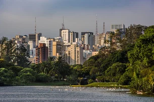 Exclusivo: empresa arremata terreno no Ibirapuera para apartamentos de R$ 50 milhões