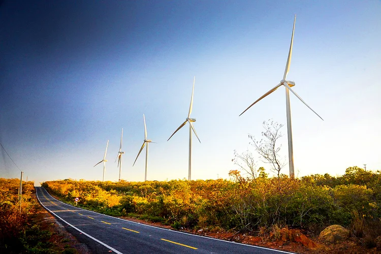 Energia Eólica: pandemia afeta o setor (Bússola/Divulgação)