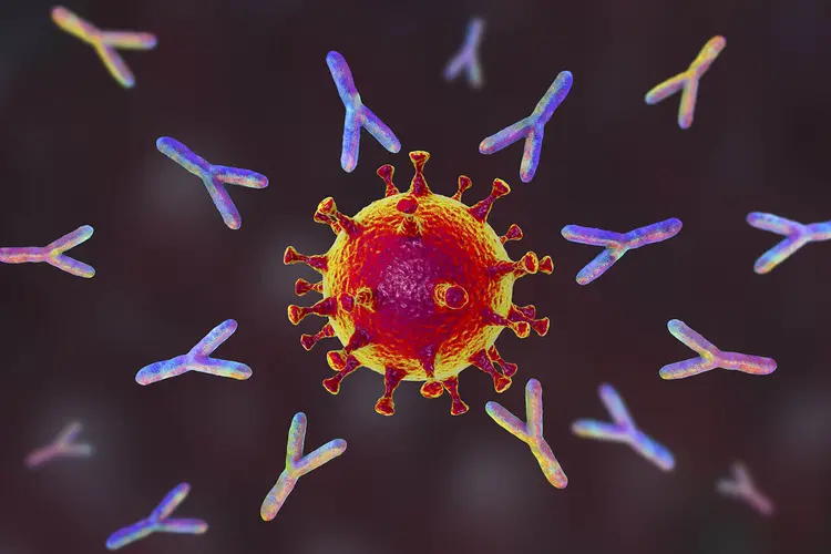 Anticorpos da covid-19 não desaparecem rápido, diz megaestudo (KATERYNA KON/SCIENCE PHOTO LIBRARY/Getty Images)