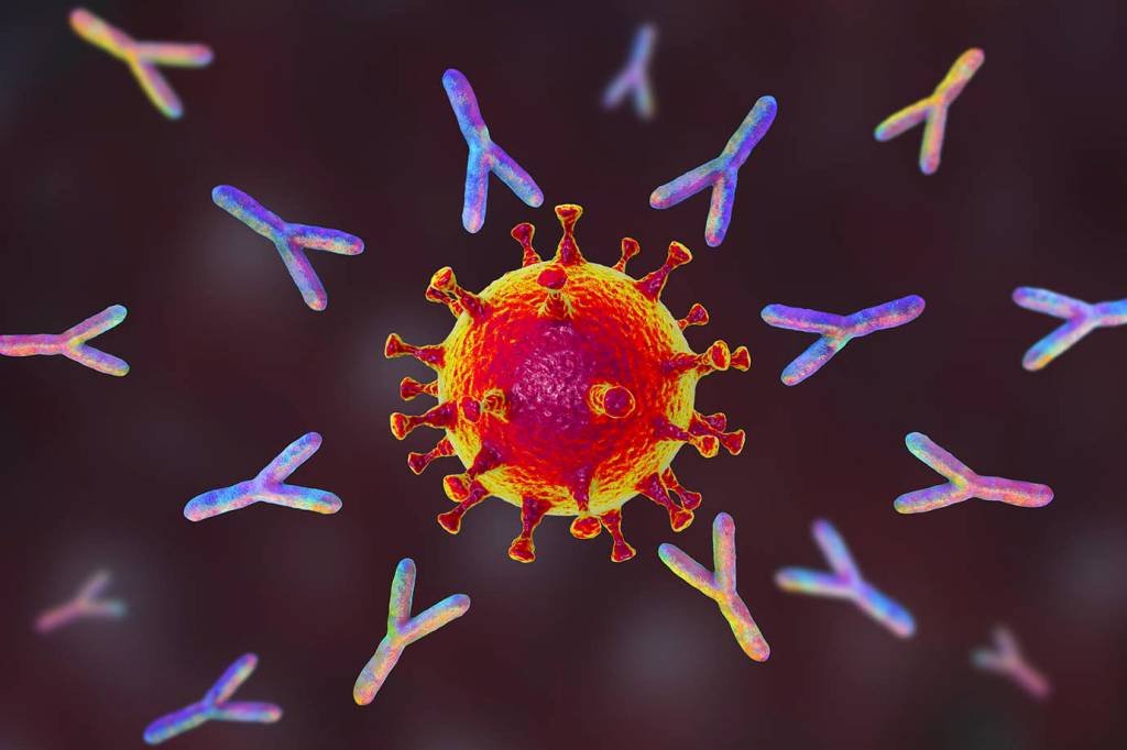 Covid-19 atrapalha células que combatem o vírus, indica estudo