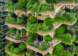 Imagem referente à matéria: Condomínio pode me proibir de ter vaso de planta na varanda?