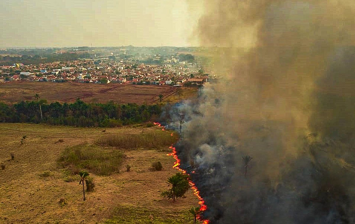 Queimadas no Brasil destruíram área equivalente ao Uruguai em 2023, aponta MapBiomas