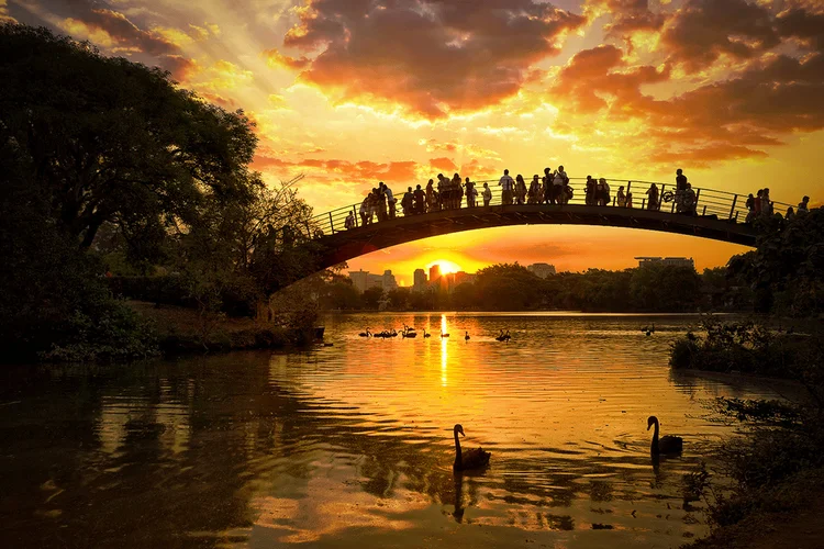 Parque do Ibirapuera: primavera vai começar no próximo dia 22 (Undefined/Getty Images)