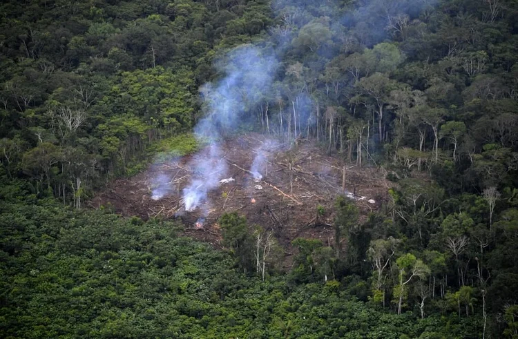 Queimada na Amazônia: ameaças ao futuro das espécies por causa do aquecimento global deve estar na pauta de debates em assembleia da ONU nesta quarta (CARL DE SOUZA/AFP)