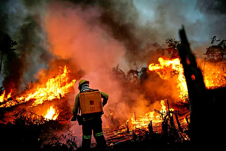 27% dos maiores incêndios até agora em setembro foram em florestas intocadas (Ueslei Marcelino/Reuters)