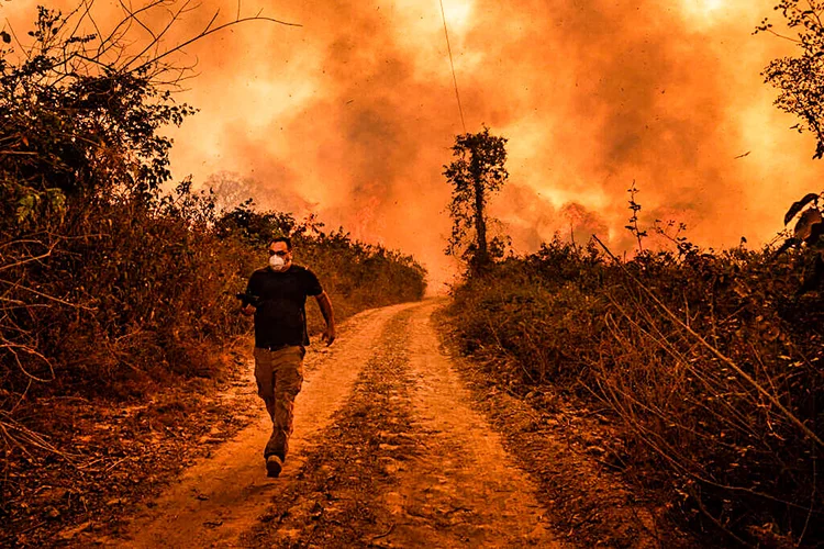 Incêndio no Pantanal: recorde em 22 anos de registros de queimadas no Mato Grosso do Sul (NurPhoto / Colaborador/Getty Images)