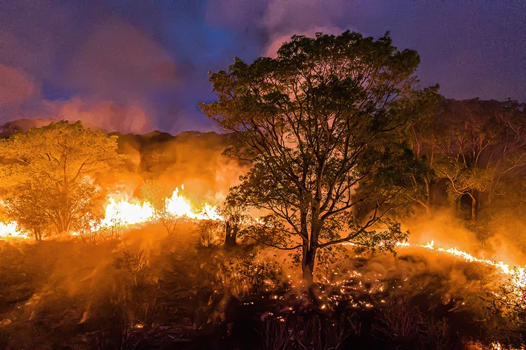 Incêndios no Pantanal causam devastação e emitem alerta climático (Ibere PERISSE/AFP)