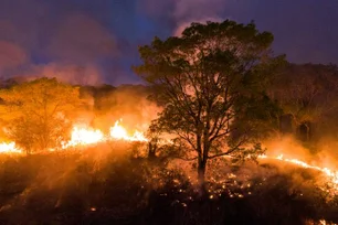 Imagem referente à matéria: Com mais de 11 mil focos, mês de julho registra recorde de queimadas na Amazônia em duas décadas