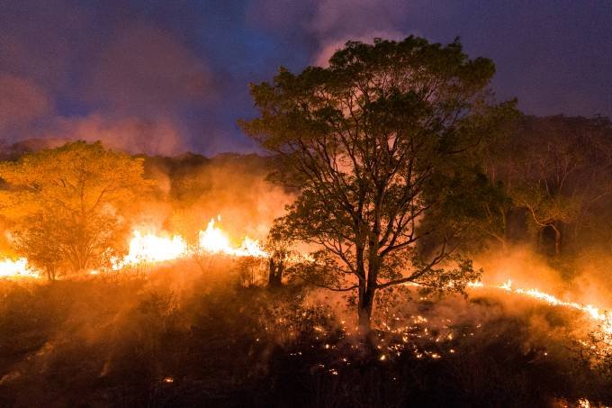 Pantanal: em metade do mês, já há mais focos de incêndio do que no recorde para o período (Ibere PERISSE/AFP)